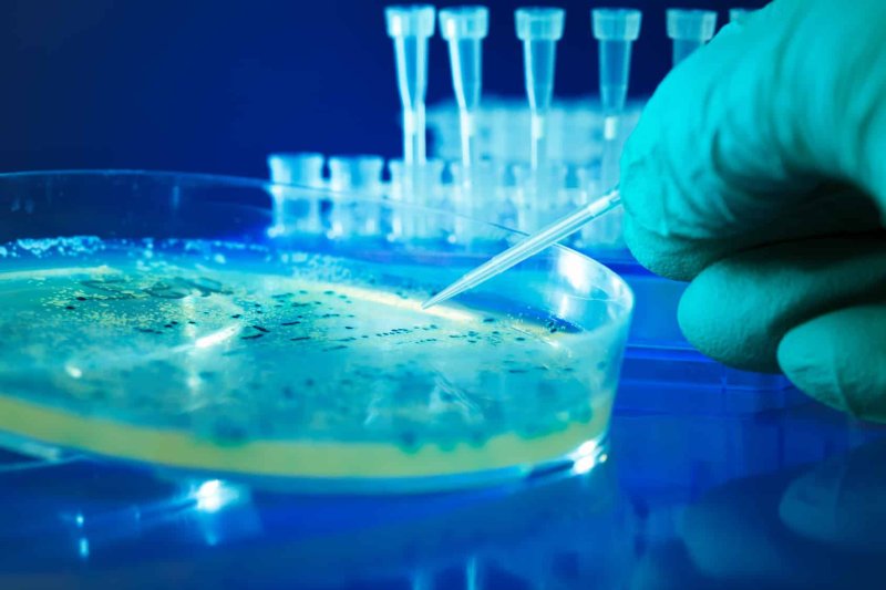 Défendons la microbiologie de l’environnement