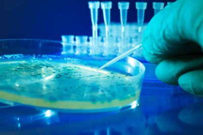 Défendons la microbiologie de l’environnement